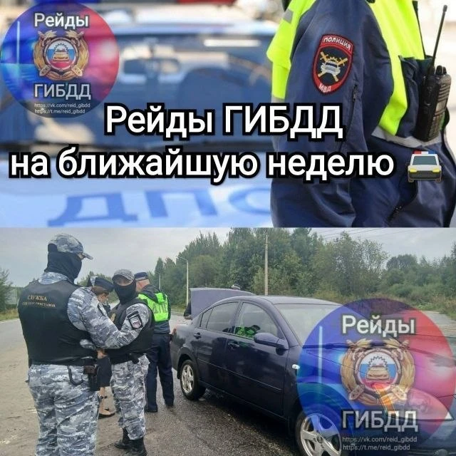 Рейды ГИБДД на ближайшую неделю 🚔