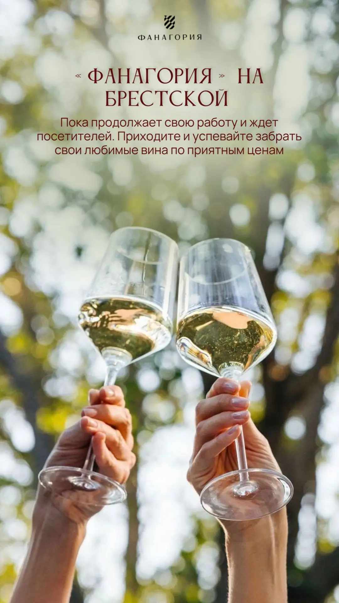Успейте заглянуть в «Фанагорию» на Брестской 🍷✨