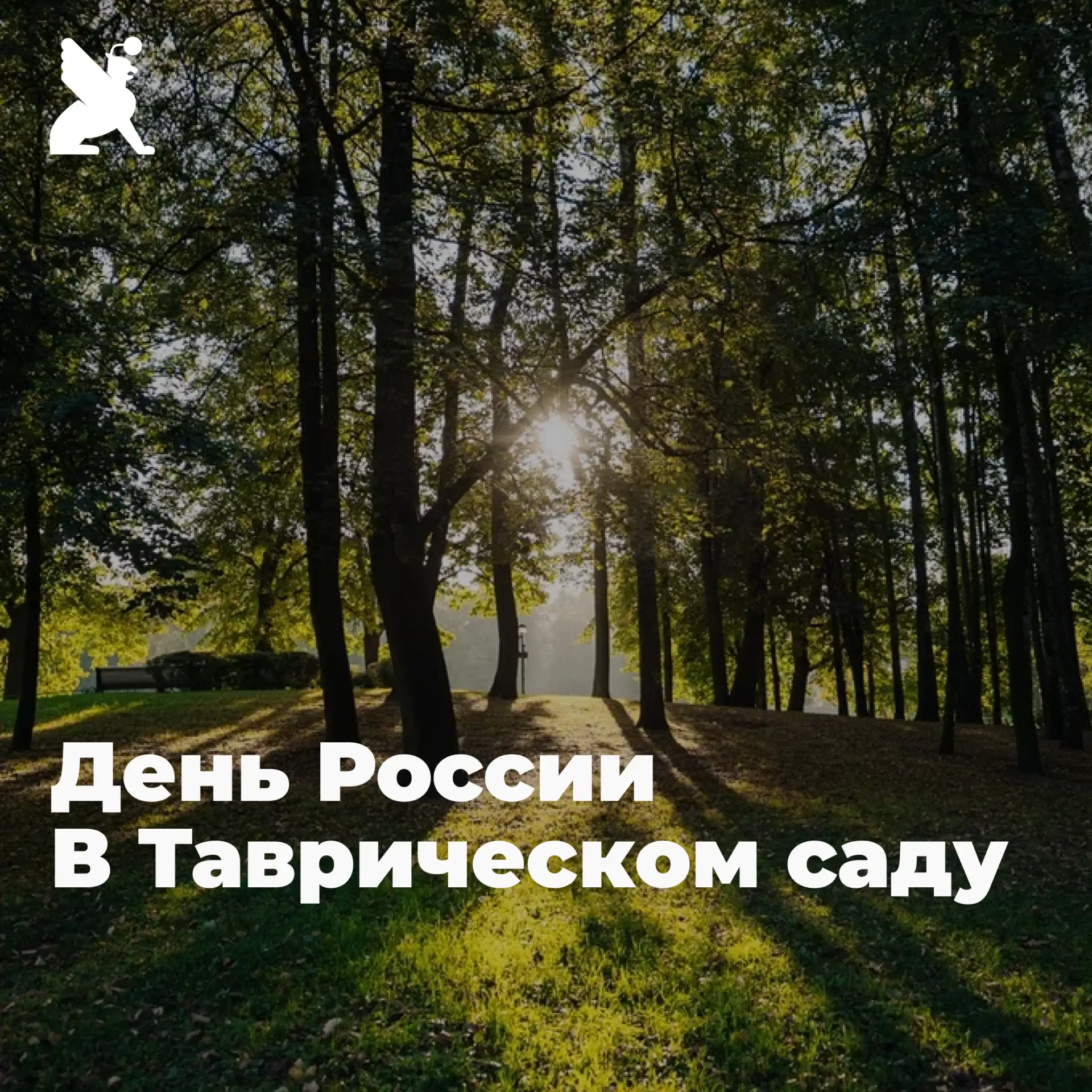 Накануне Дня России приглашаем жителей и гостей Центрального района на праздничную прог...
