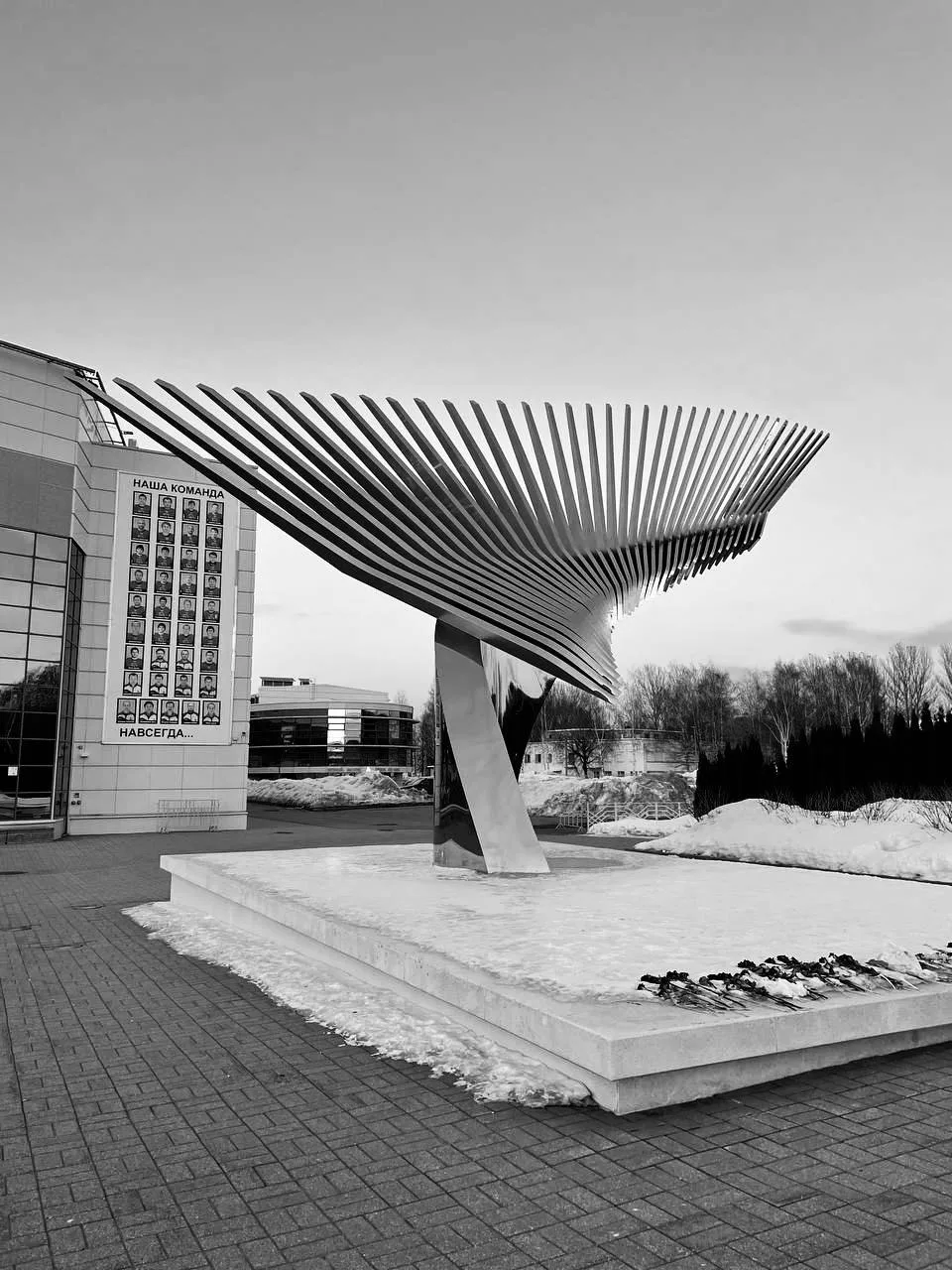 7 сентября 2011 года хоккейный мир потрясла одна из самых страшных авиакатастроф, котор...