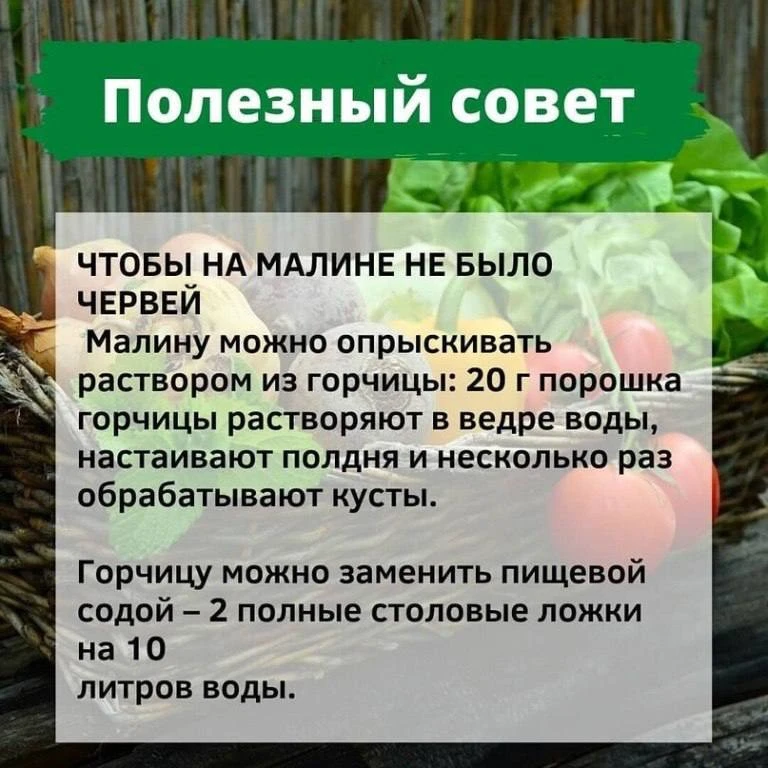 На заметку 📝


ДАЧНЫЕ ЗАМЕТКИ