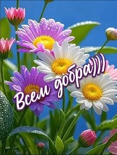 🎁 Поздравления и радость — #Счастье 🍓
