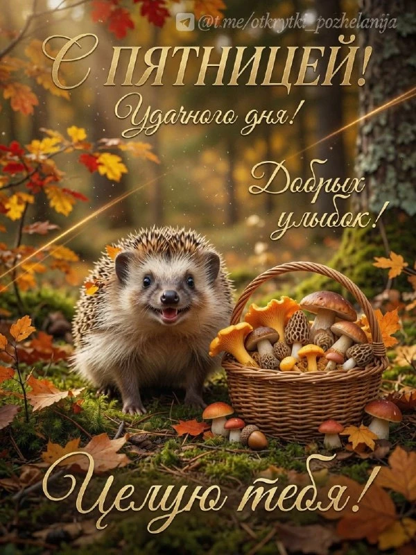 Открытки: подписаться ❤️
