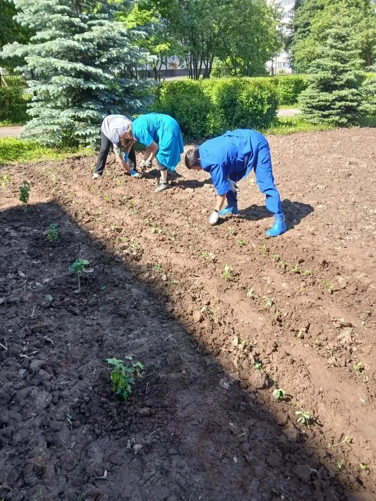 🌱 Благоустройство в СОШ № 50 в самом разгаре!

Сейчас:
• высаживаем цветы на клумбах;
• ухаживаем з