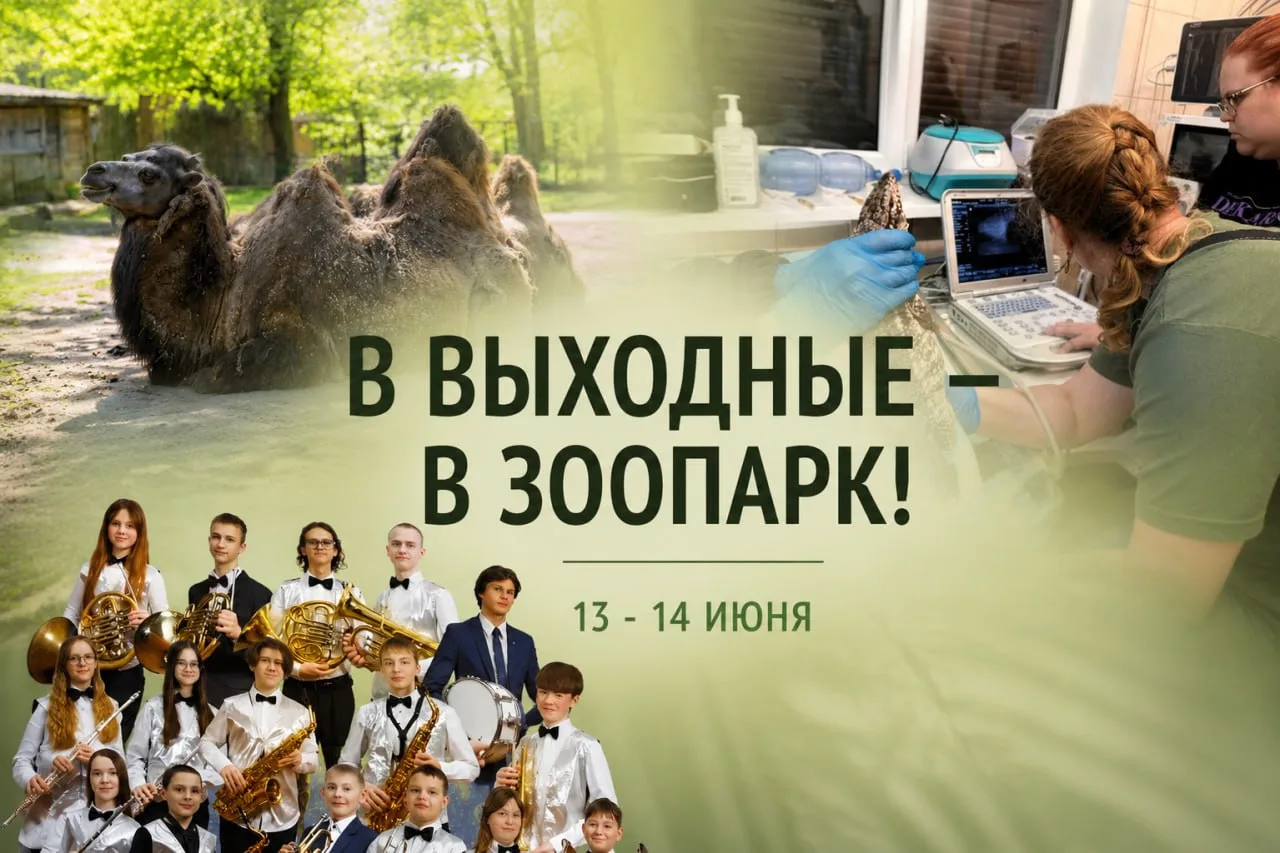 В ВЫХОДНЫЕ — В ЗООПАРК!

Купить входные и экскурсионные билеты можно на сайте зоопарка.

13 ИЮНЯ (су
