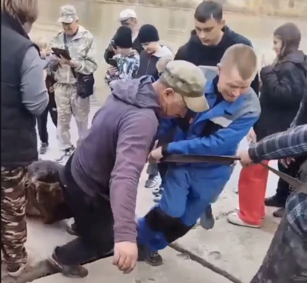 Медведя ликвидировали в Усольском районе