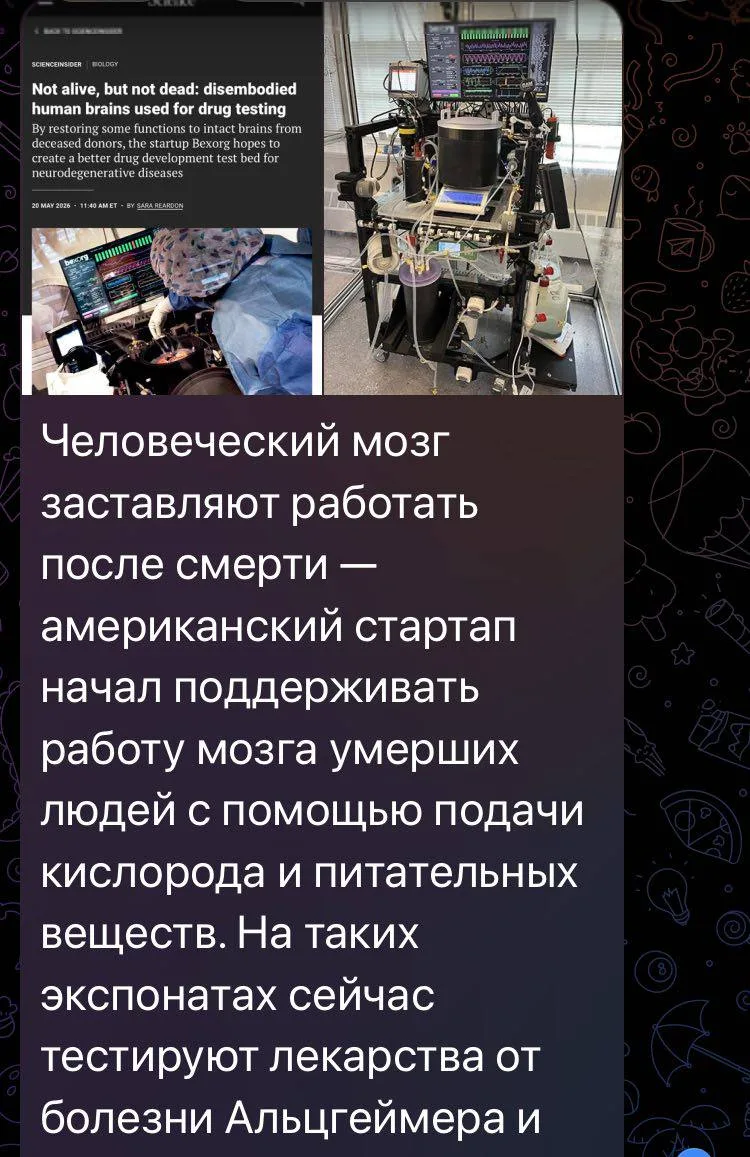 277/1000

Провожу разборы с предпринимателями на предмет возможности автоматизировать их процессы. 
