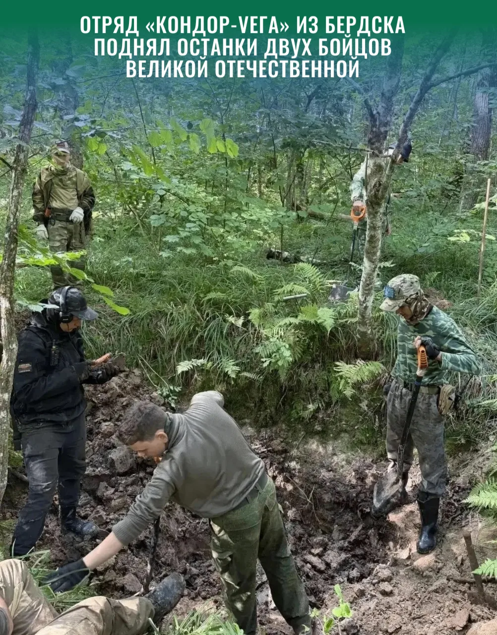 Отряд «Кондор-Вега» из Бердска поднял останки двух бойцов Великой Отечественной
