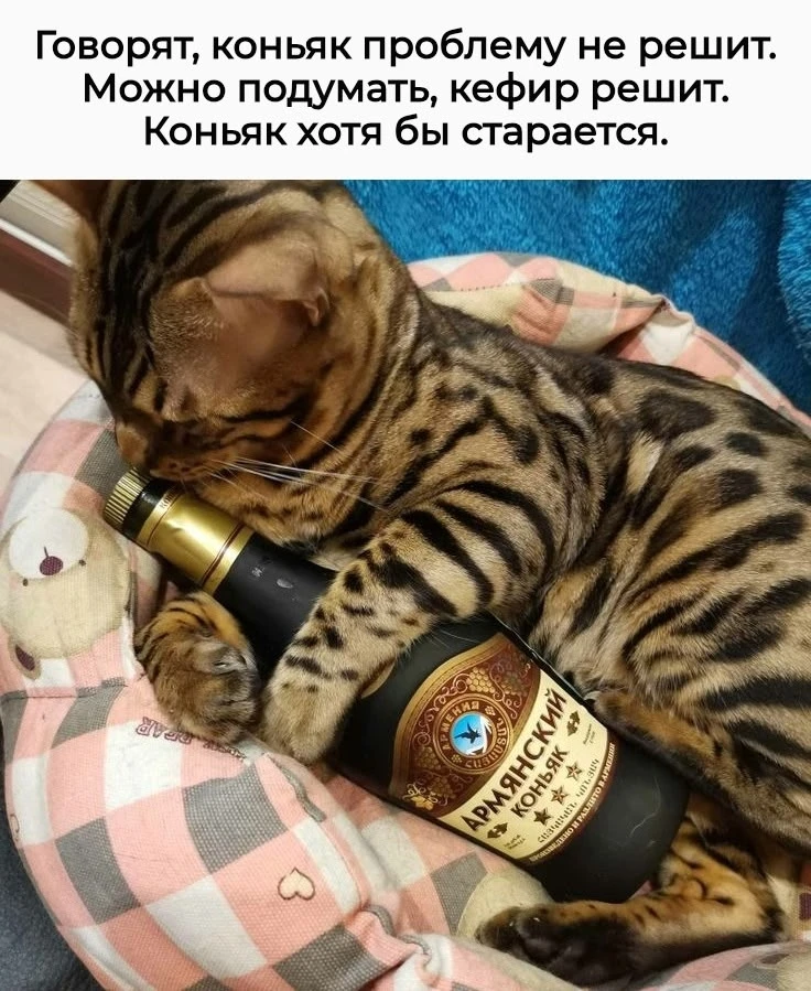 Подпишись на юмор 😂