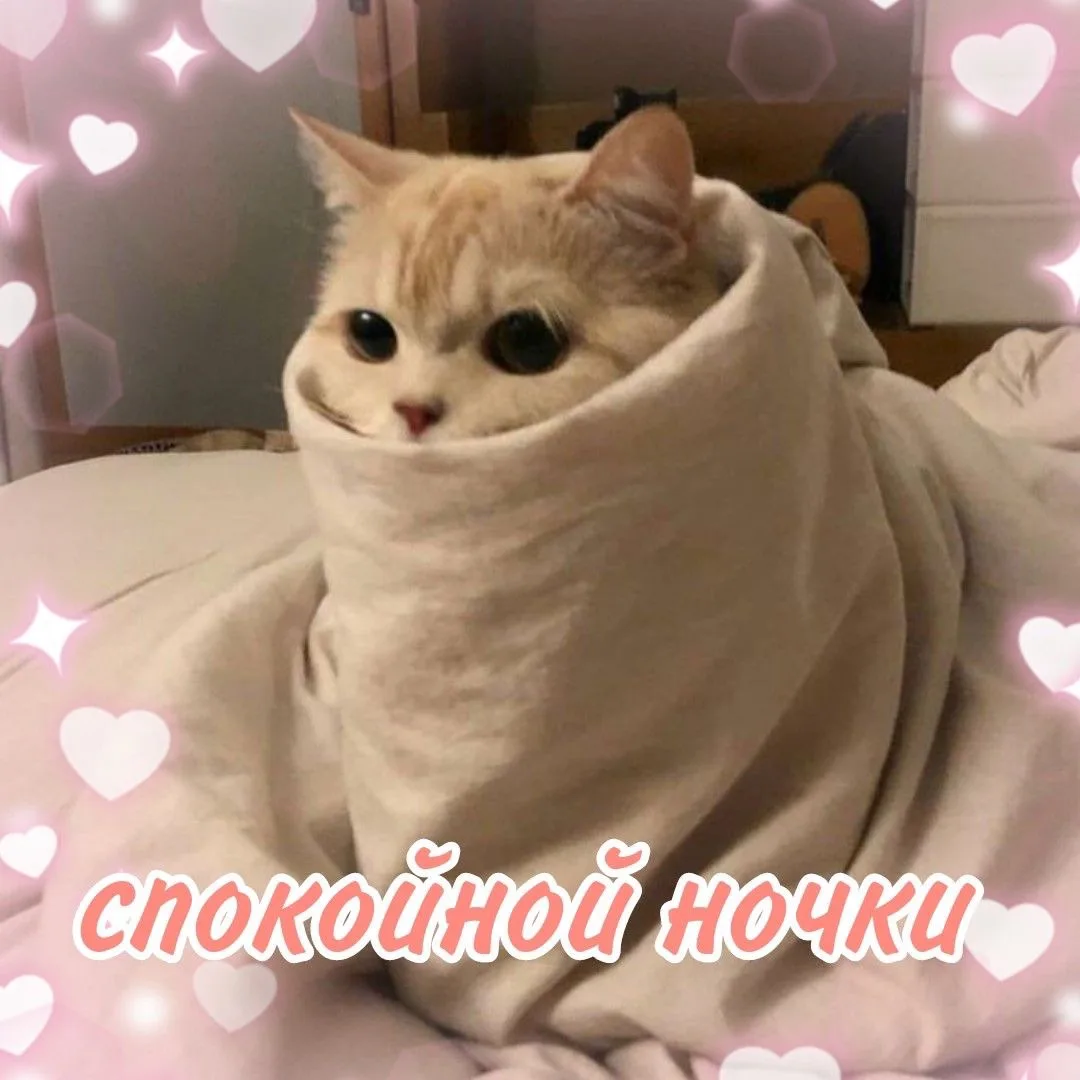 🌙 Вечерний чек-ин