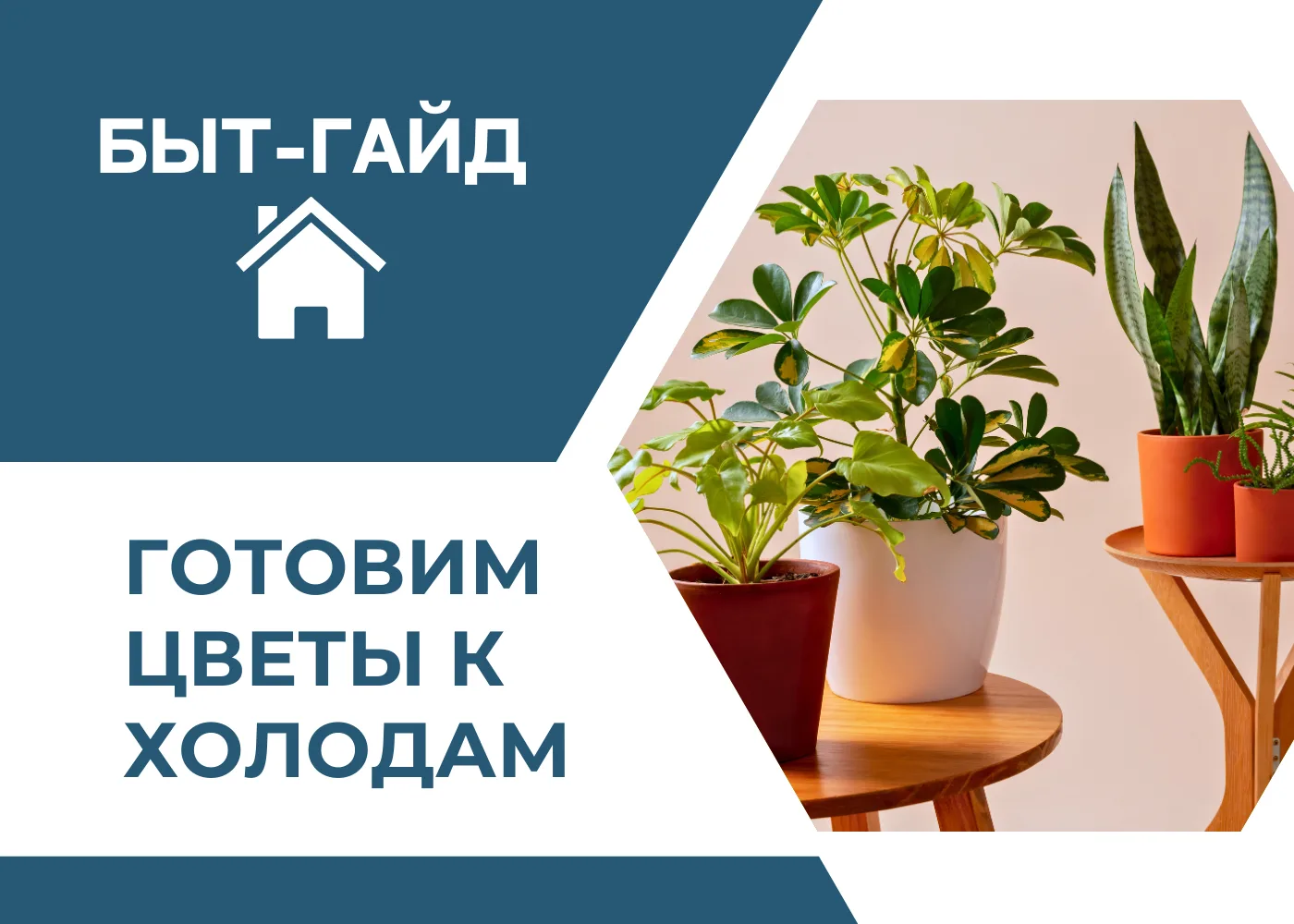 Осень меняет условия в квартире: меняется температура, влажность, а впереди — отопитель...