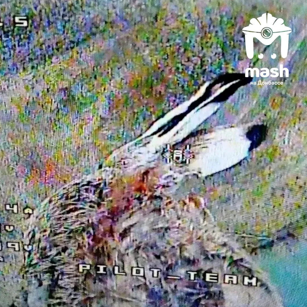 🐰Живодёры из ВСУ начали минировать туши животных, в том числе в местах нахождения мирных

👉🏻Подпи