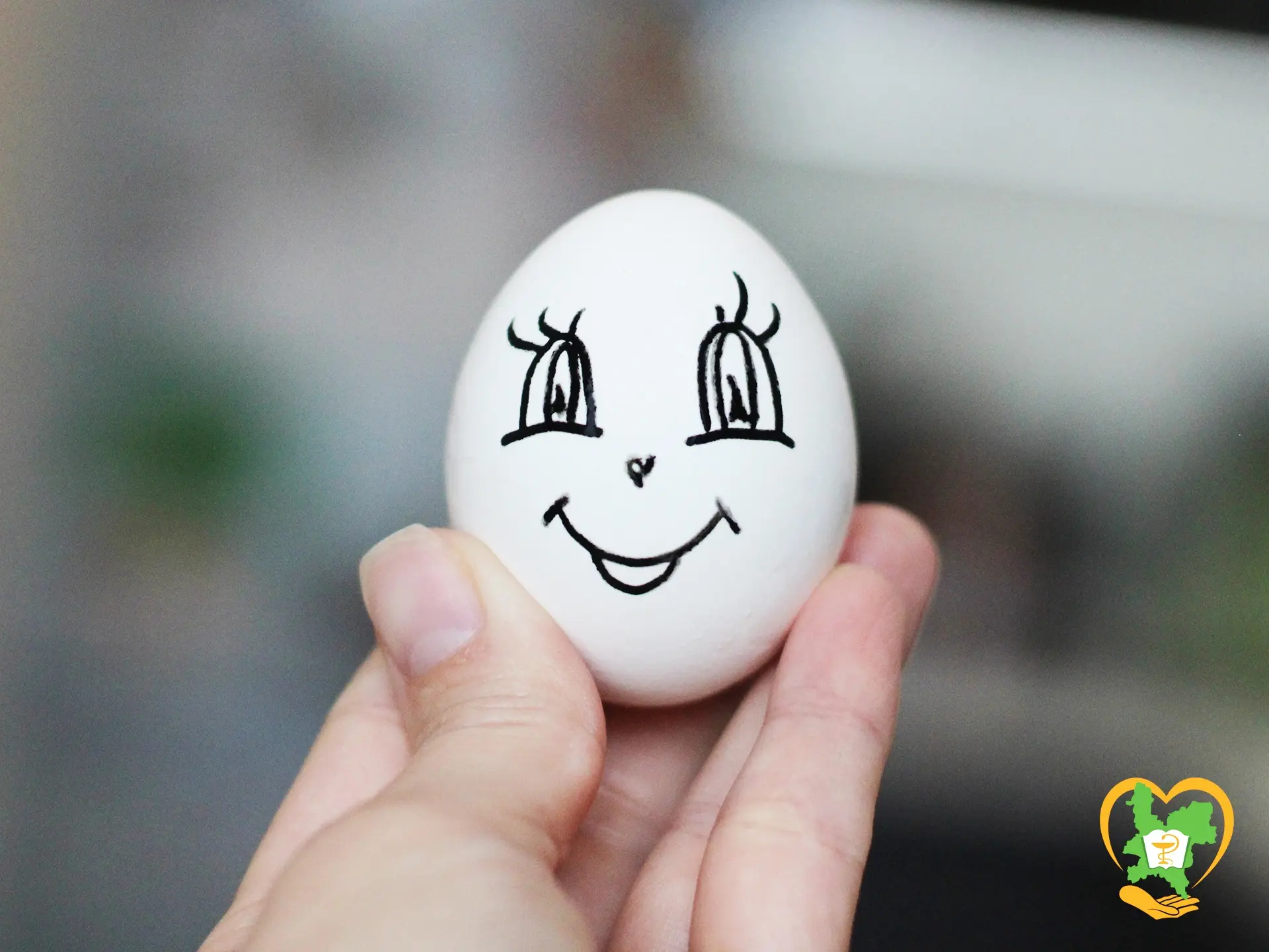 🥚 Полезные продукты: ЯЙЦА