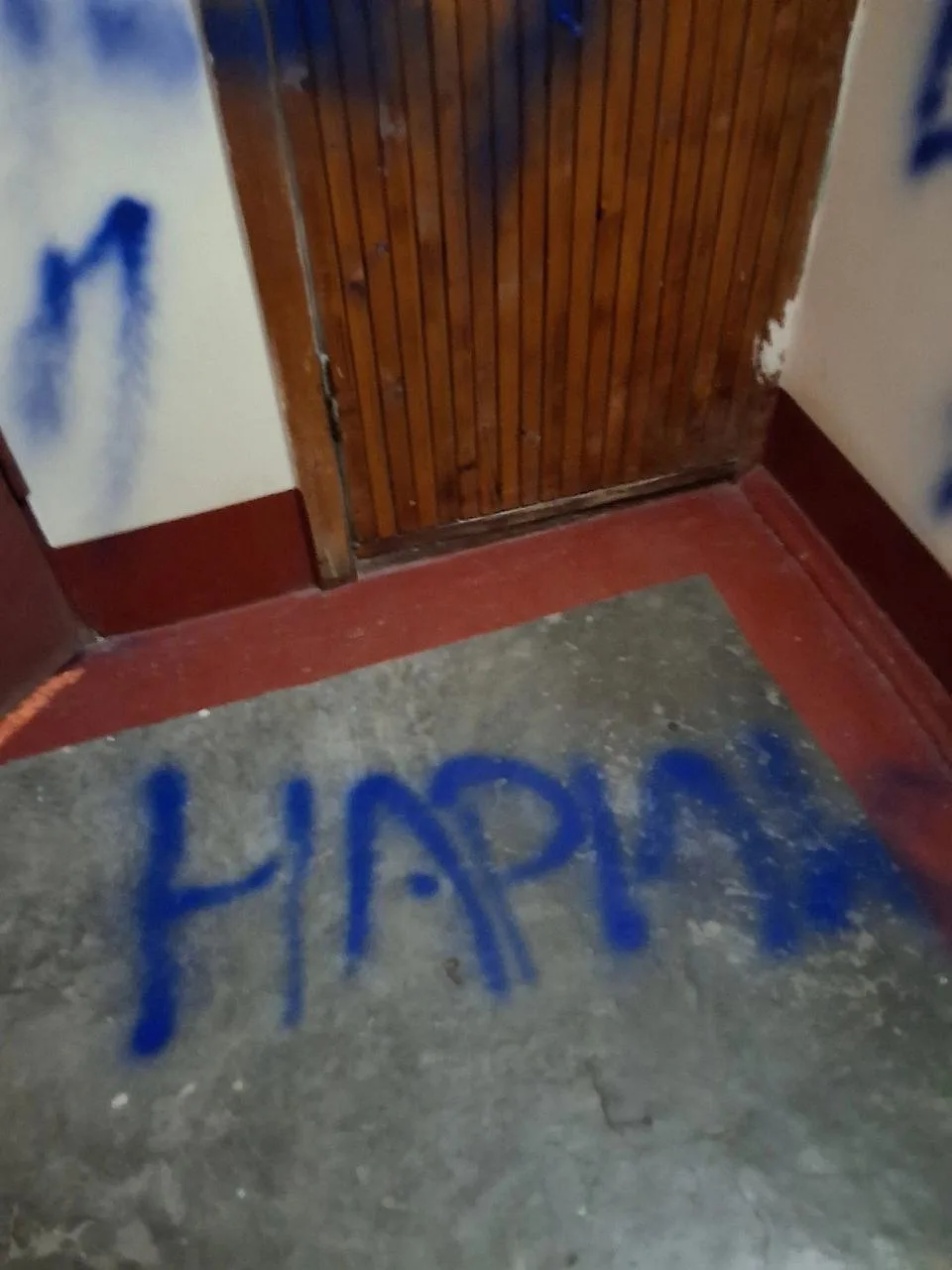 В доме № 3 на улице Масальского неизвестные разрисовали дверь и стену на лестничной площадке

По сло