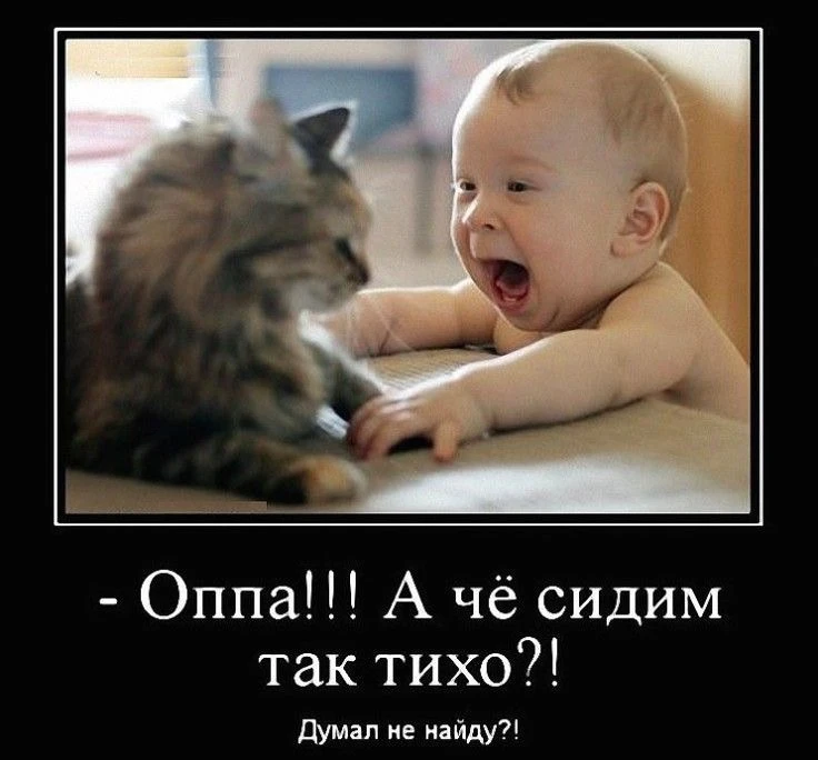 Юмор | Приколы | Мемы 👇🏻