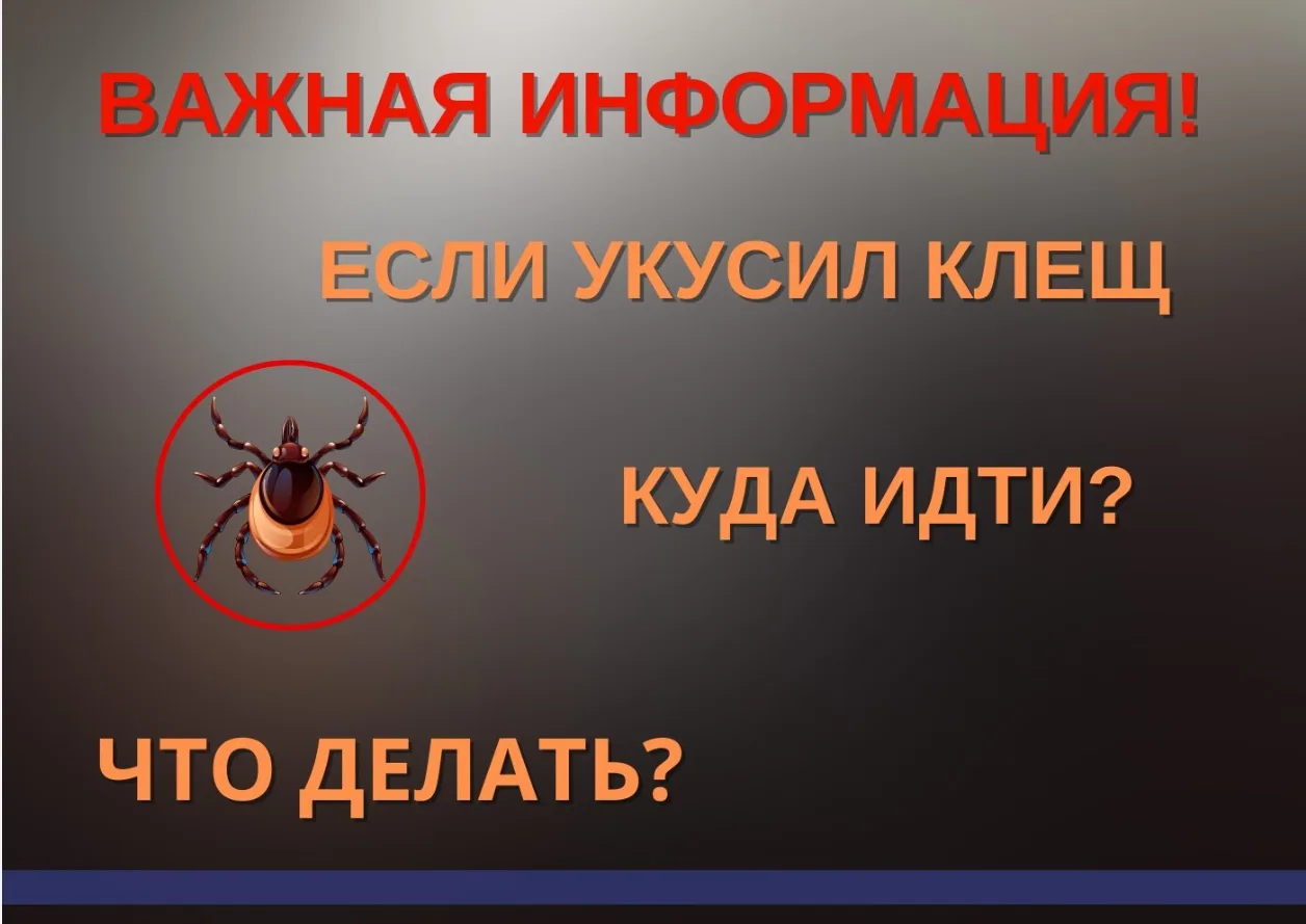 🌿 Май — разгар сезона клещей! Они уже проснулись, а значит, каждый выход в парк, лес и...