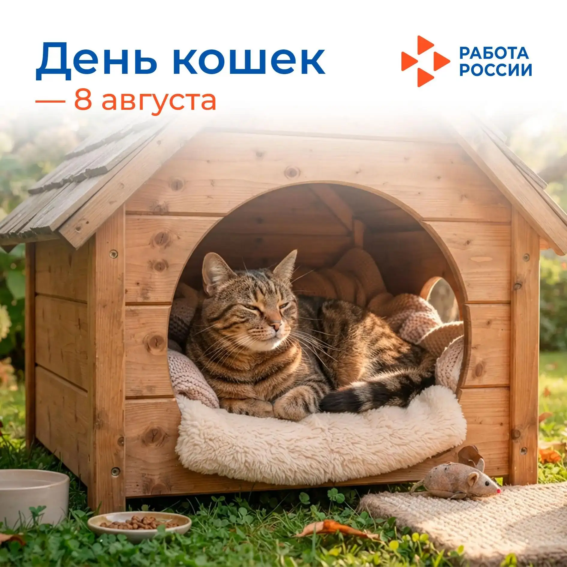 😻 8 августа – Всемирный день кошек

Коты, кошки, котята, котики – уверены, что среди наших подписчи