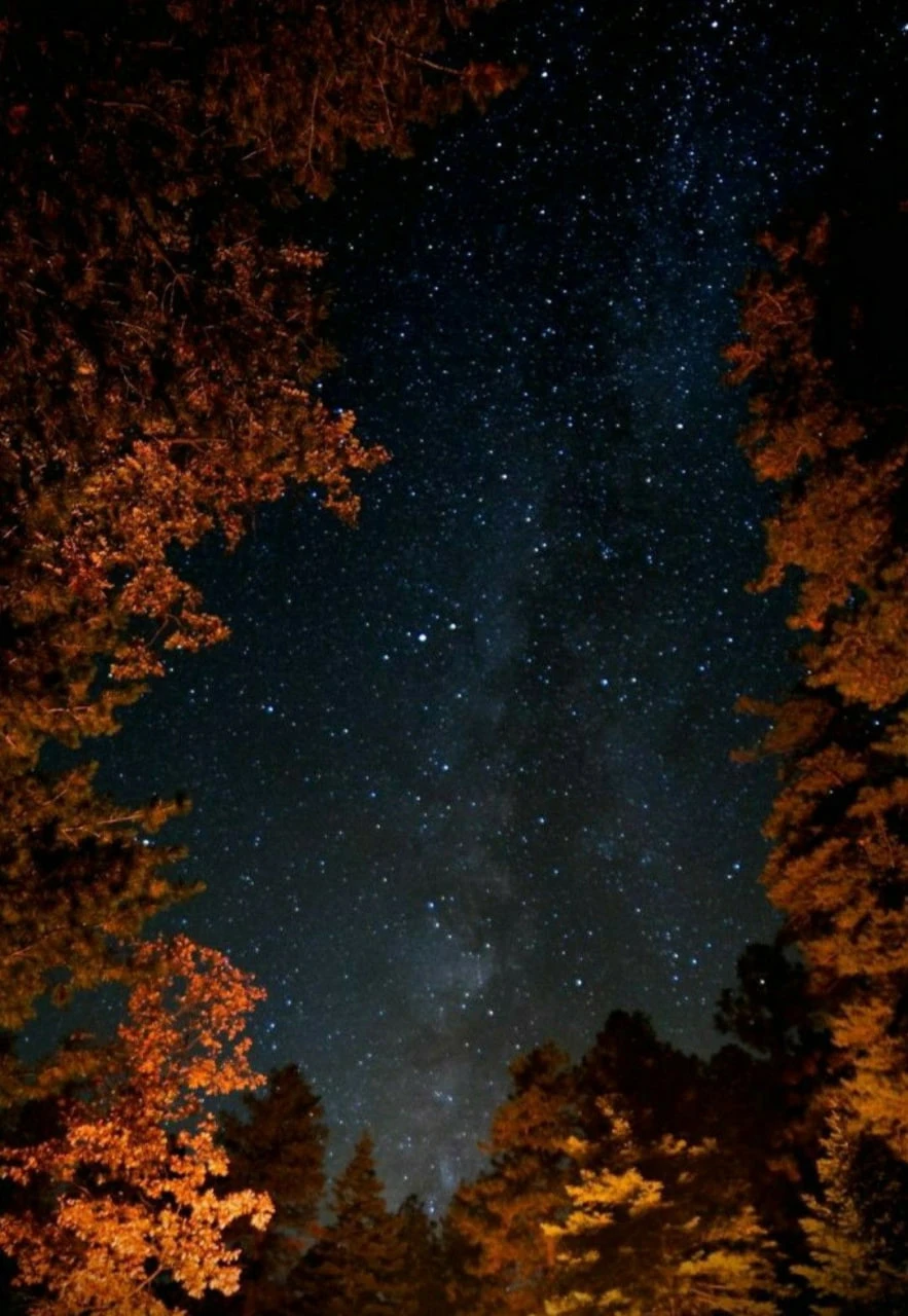 Добрых снов! ✨