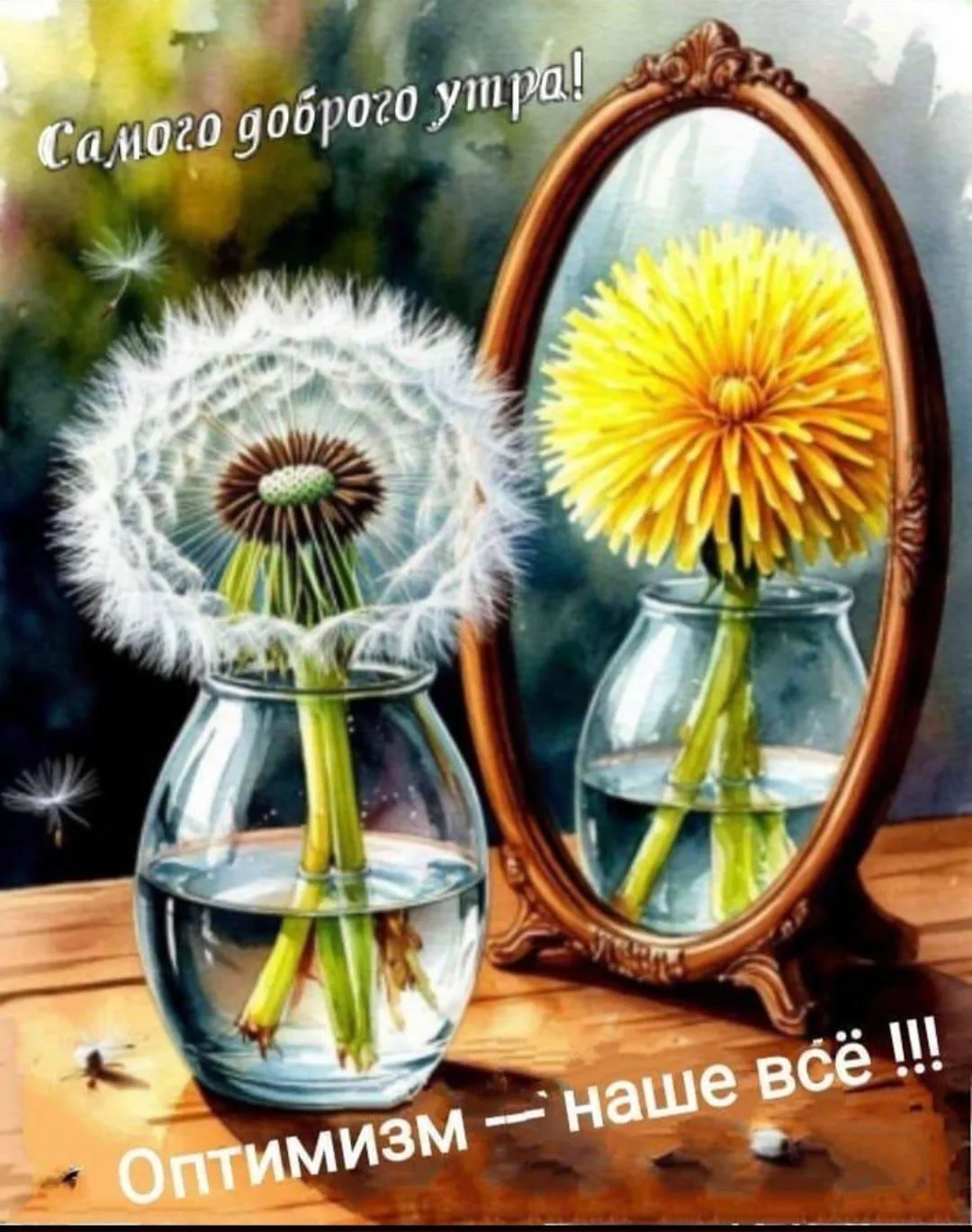 Доброе утро ☀️😃🌞