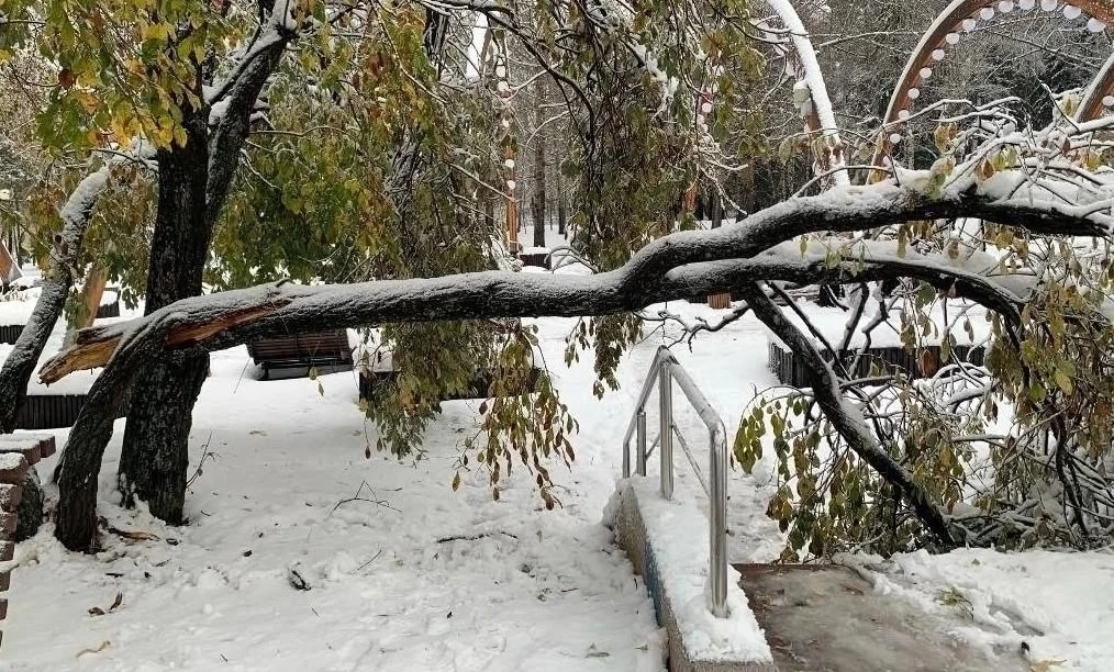 ❄️ Из‑за снегопадов и сильного ветра в Качканаре упали деревья — из-за этого зафиксиров...