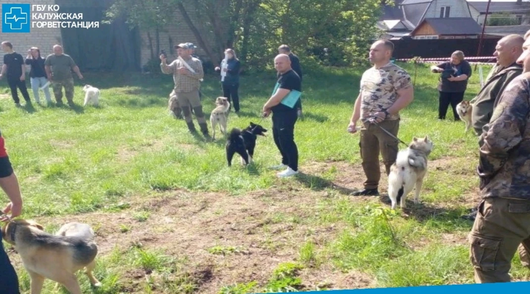 👥Специалисты ГБУ КО «Калужская горветстанция» в рамках соблюдения ветеринарного законо...