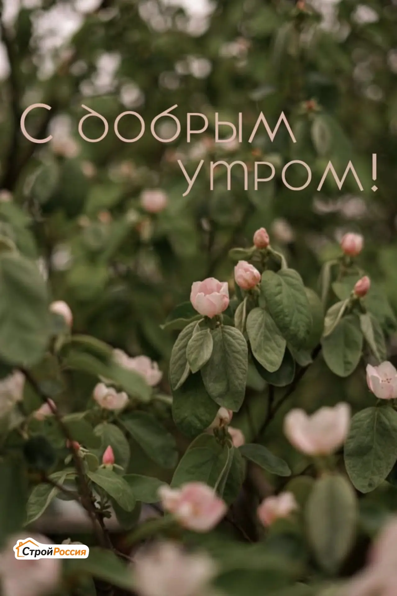 Доброе утро всем, кто строит своё будущее своими руками!

Пусть сегодня будет меньше переделок и бол