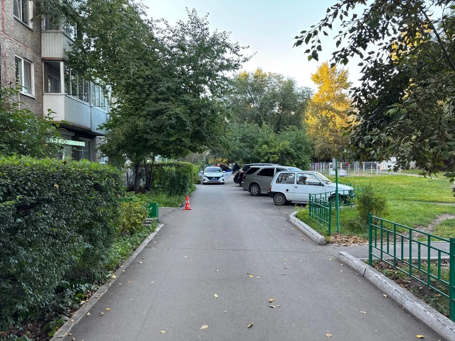 В Абакане 12 - летний школьник на электросамокате сбил 9 - летнюю девочку