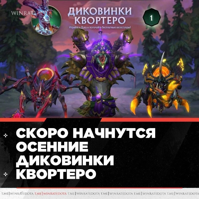 🍃 ЖДЁМ ОСЕННИЕ «ДИКОВИНКИ КВОРТЕРО»