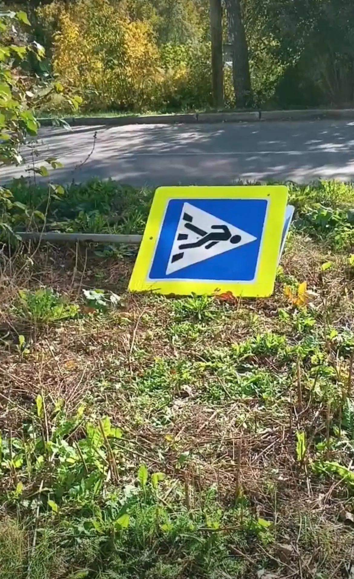 Месяц назад на Заводской мусорка снесла пешеходный знак,так до сих пор и валяется. По х...