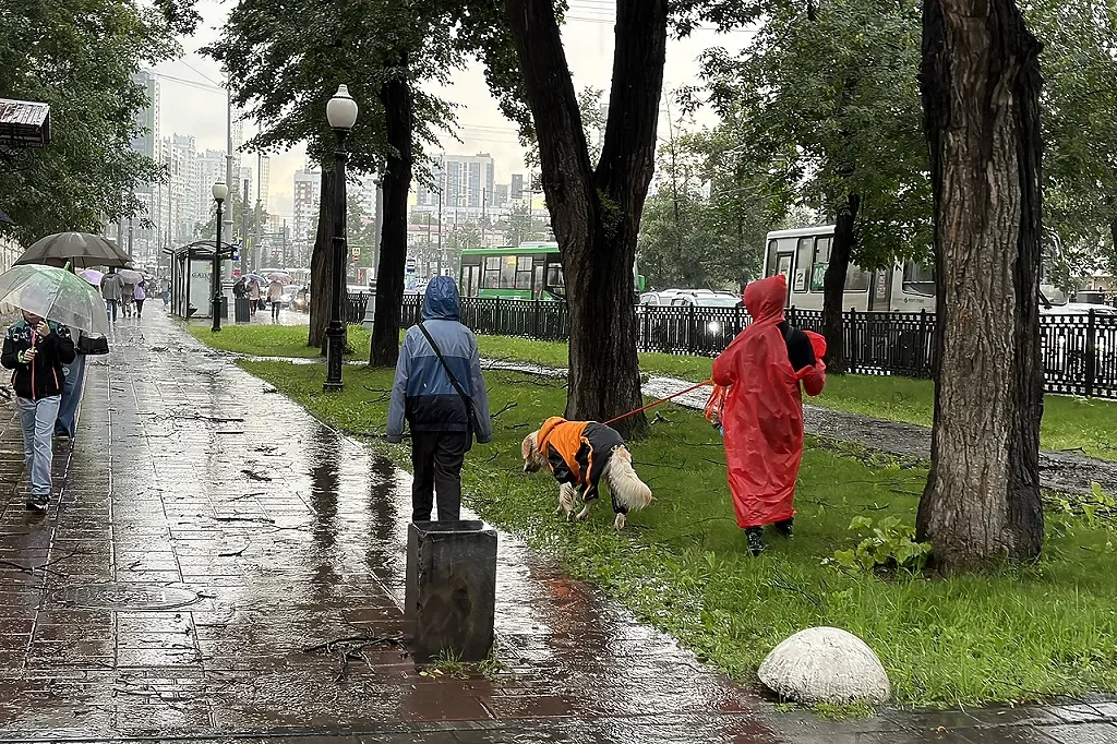 ↗️ Похолодание и дожди идут в Свердловскую область