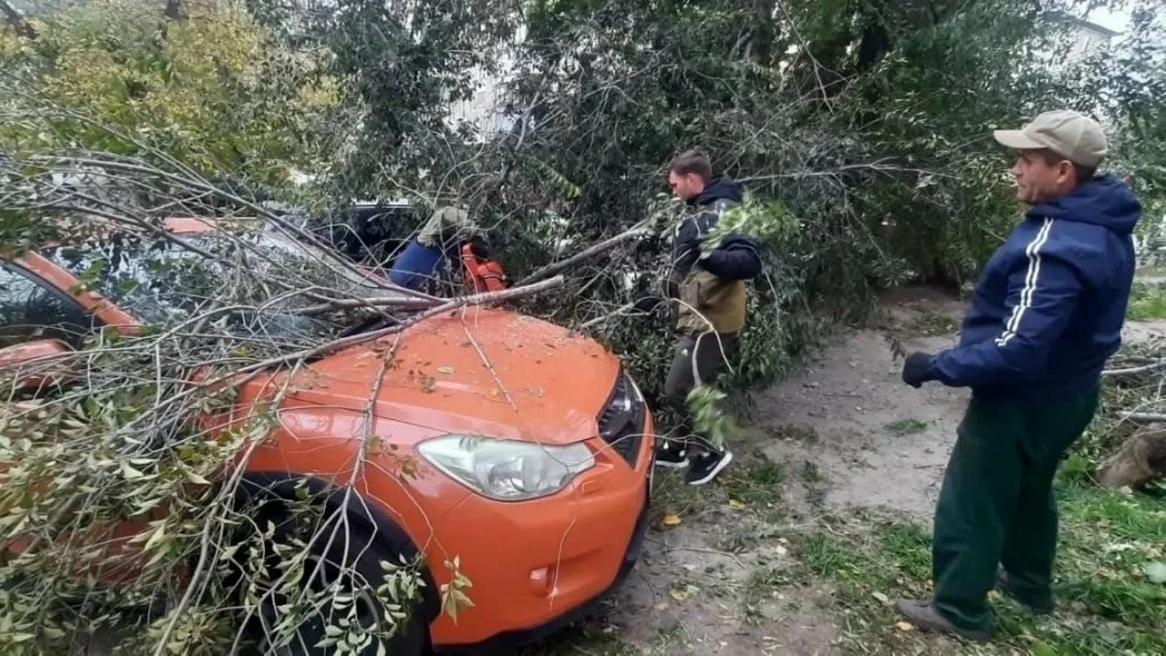 🌪️ В Барнауле устраняют последствия сильного ветра