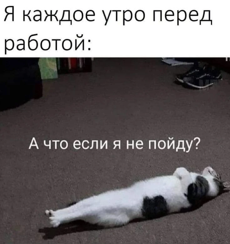 Доброе бодрое🥱🩵