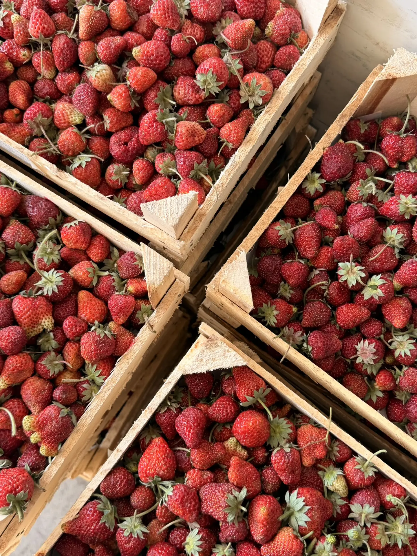 ВАЖНАЯ ИНФОРМАЦИЯ 🍓  На складе по адресу ул. Шевченко 30Аст1 клубники больше НЕТ — вся ягода осталас