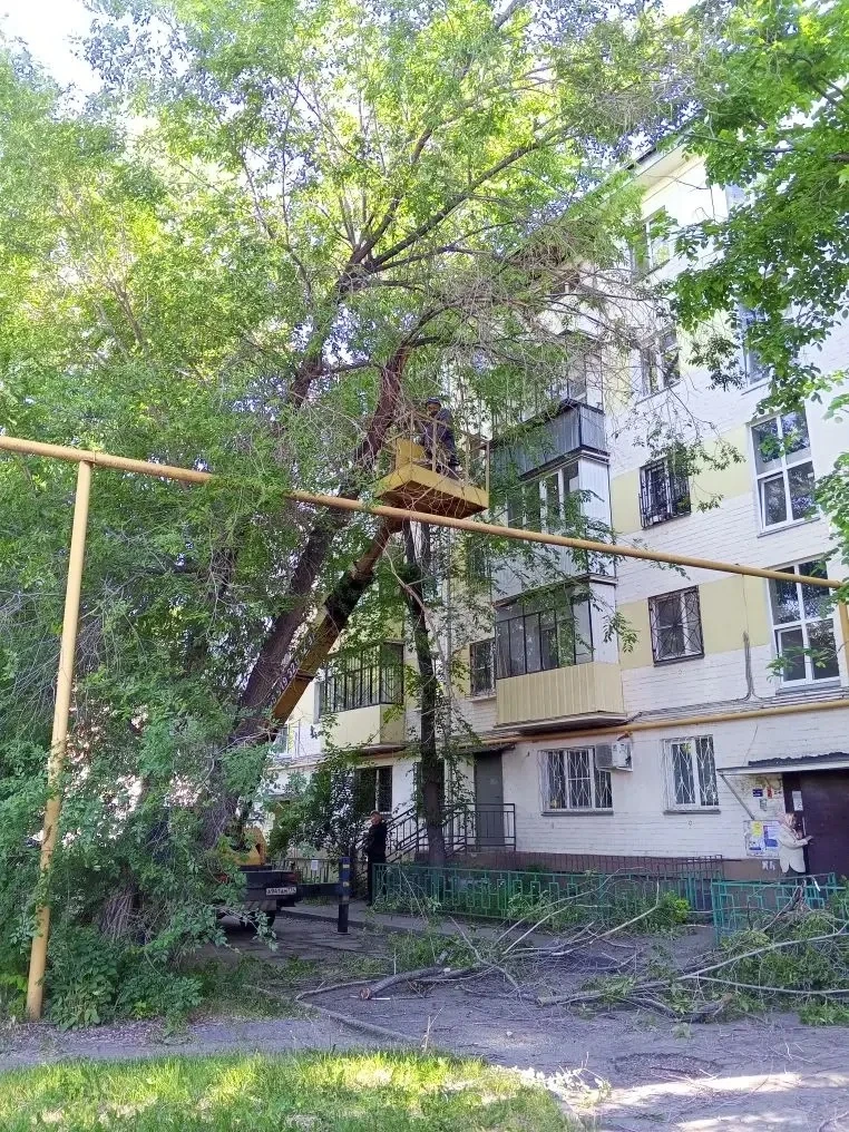 На днях мы получили заявку от жителей Кирова, 6 на опиловку аварийных деревьев. Ветки настолько разр