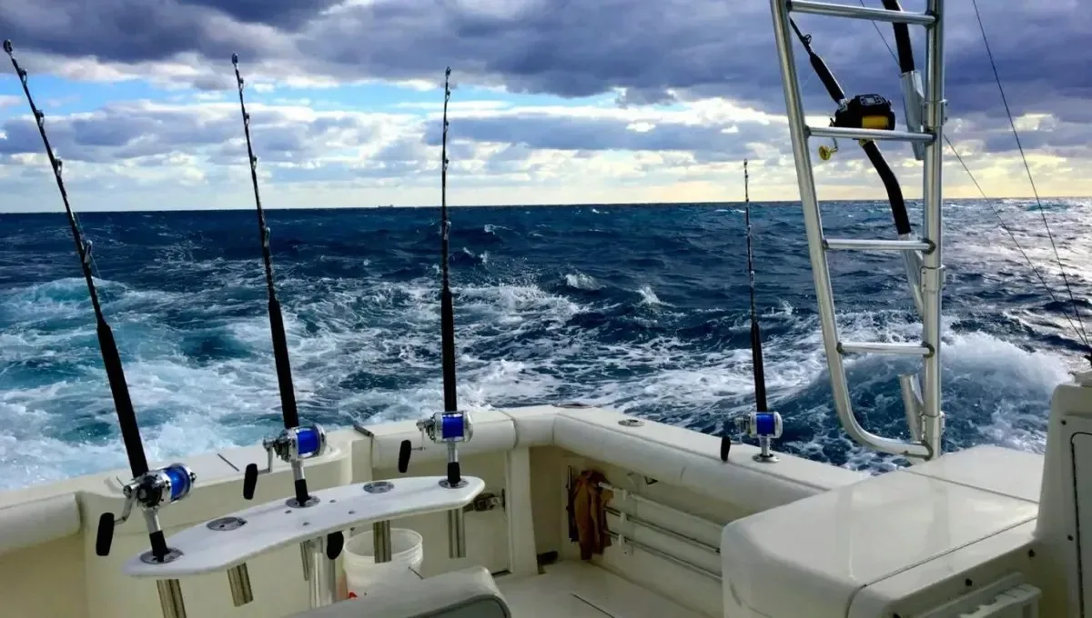 Мы приглашаем вас на увлекательную морскую рыбалку! 🐟 Вы отправитесь в открытое море и...