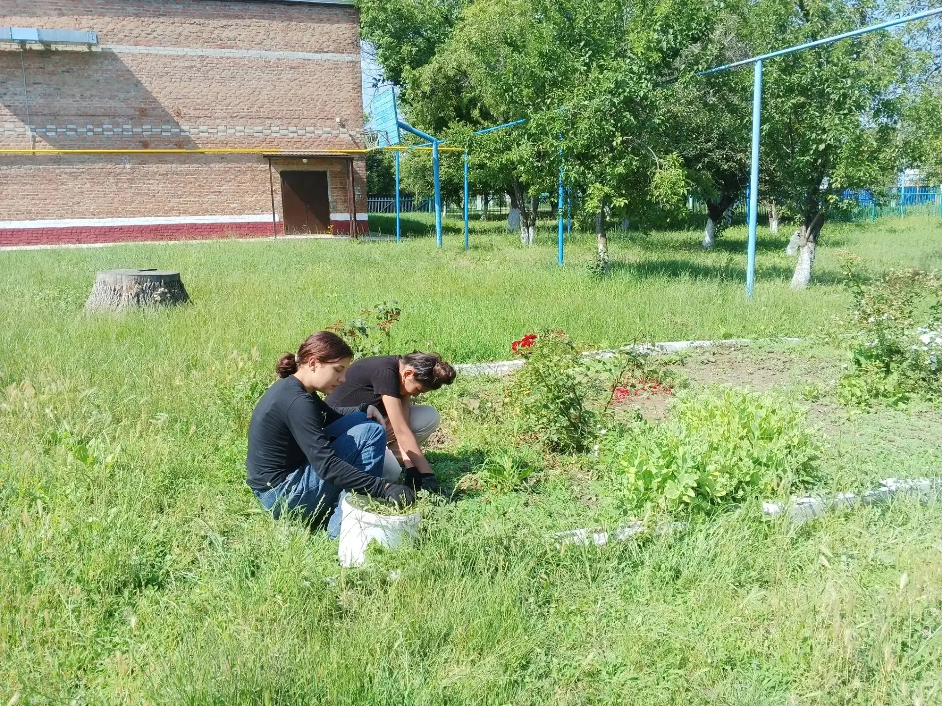 07.07.2026 г. 
Летняя трудовая практика в рамках общественно - полезного труда школьников. Обрезка р
