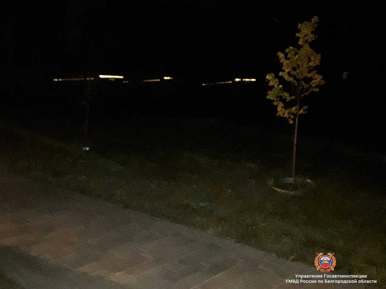 🤯Подросток на самокате сбил женщину вчера в Новосадовом Белгородского округа