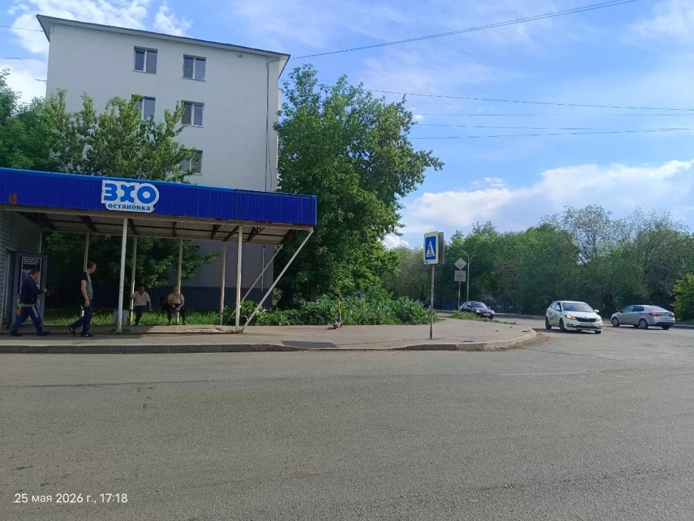 Татарник или чертополох? Народ гадает, что растет на остановке  https://1743.ru/news/83922  В рубри