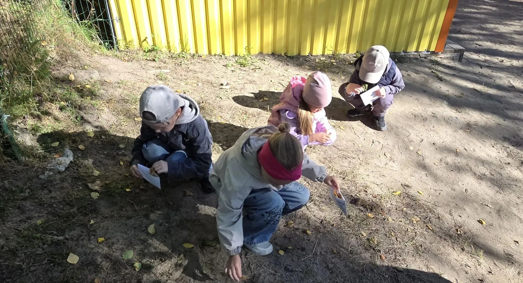 🌿 25 августа - день собирания гербария!