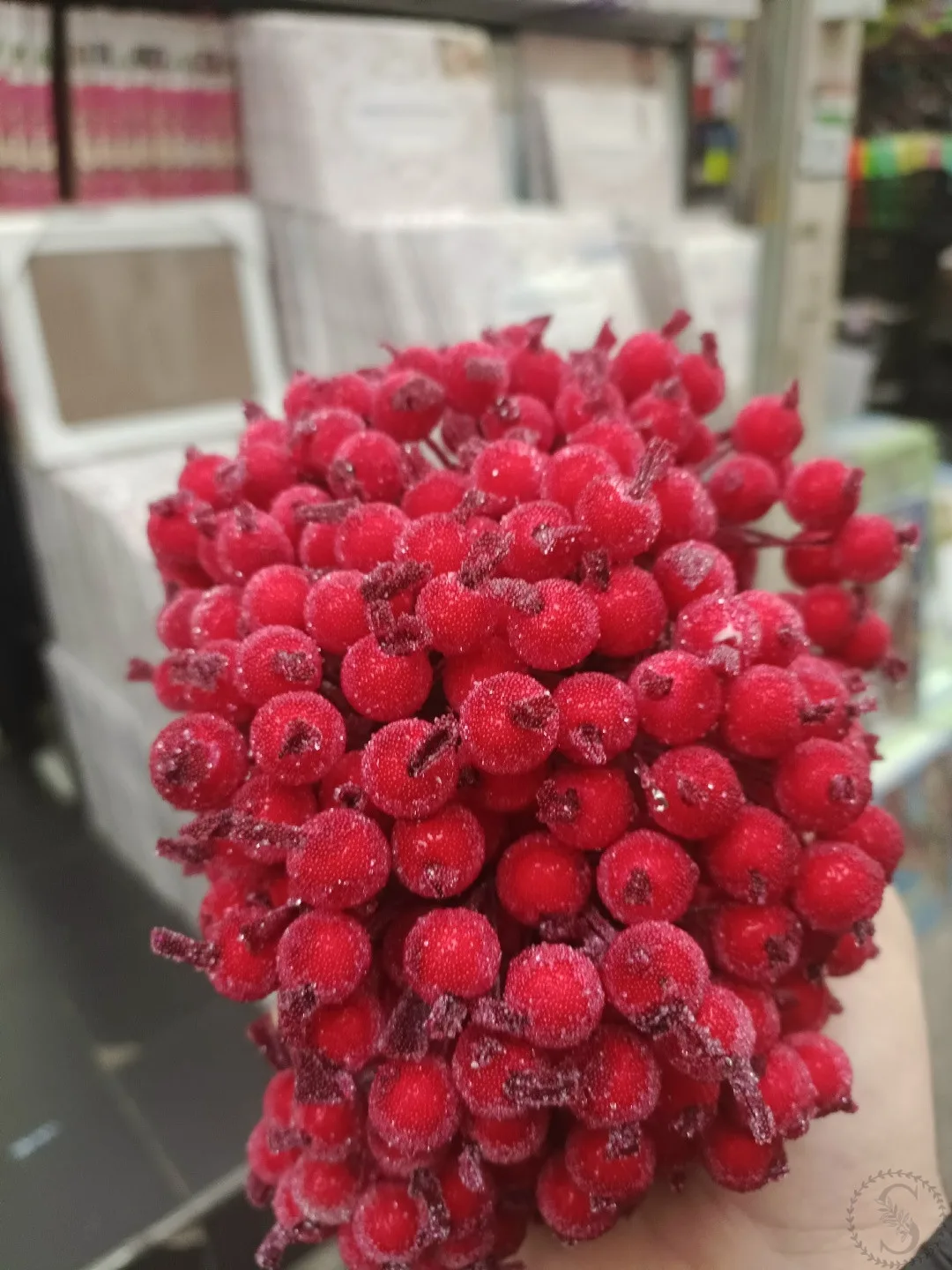 https://vk.com/photo-184814919_493580662