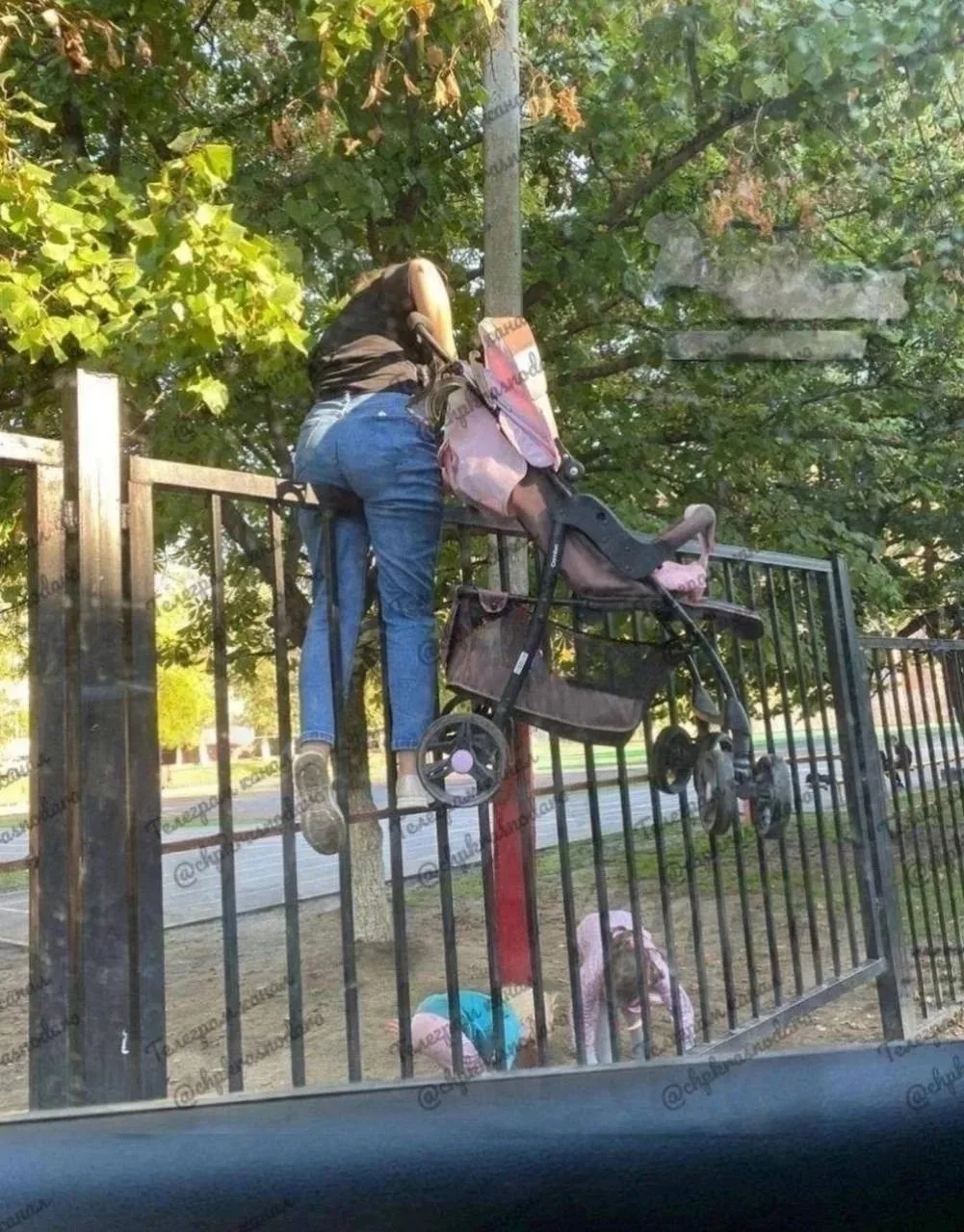 👀 Мать года найдена в дикой природе!