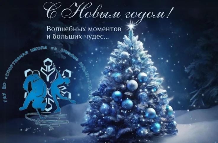 ГАУ ДО ВО СШ по ЗВС поздравляет вас с наступающим новым 2026 годом. Желаем вам и вашим ...
