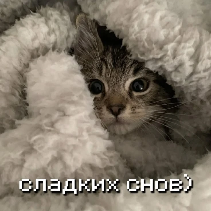 #спокойнойночи