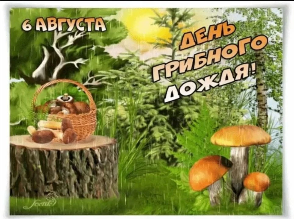 ☀️Лето. Жара. Душно, особенно в больших городах, затянутых в бетон. Но повод порадоваться у нас сего