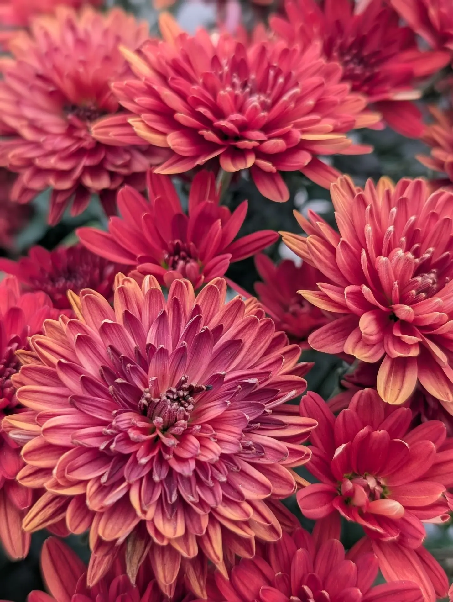 Доброе утро!🌷