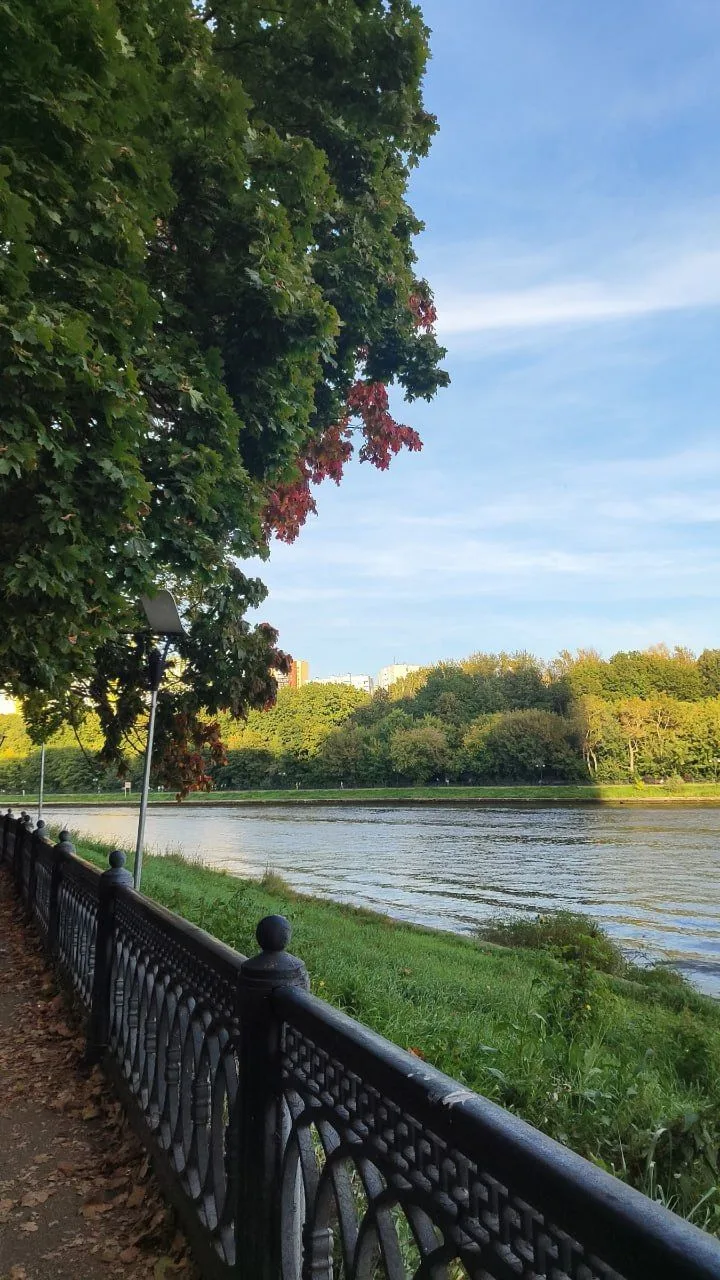 Осенний парк имени Толстого 🍂 Дождей пока не ожидаемся, успеваем насладиться последним...