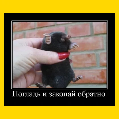 Полный Хохотамбл! Подпишись скорее