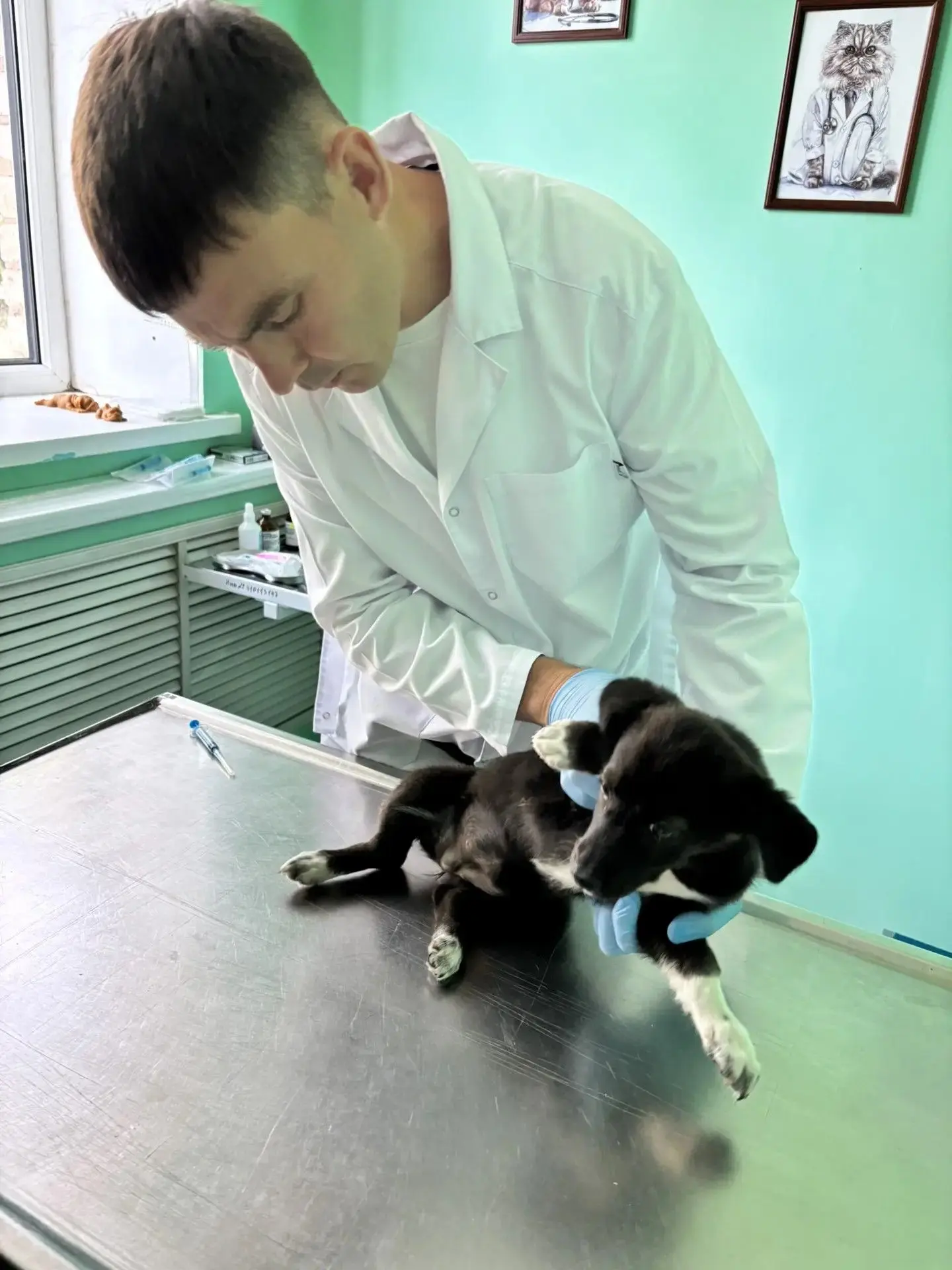 Наши рабочие будни🐶