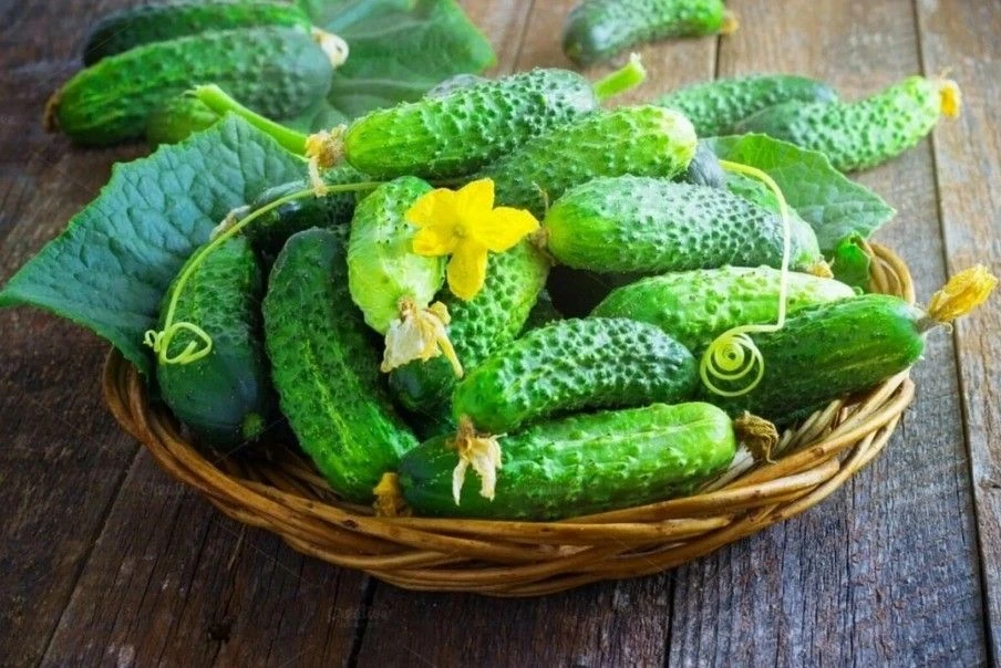 🥒 Мучнистая роса на огурцах: спасаем без химии
Во второй половине июля перепады ночных и дневных те
