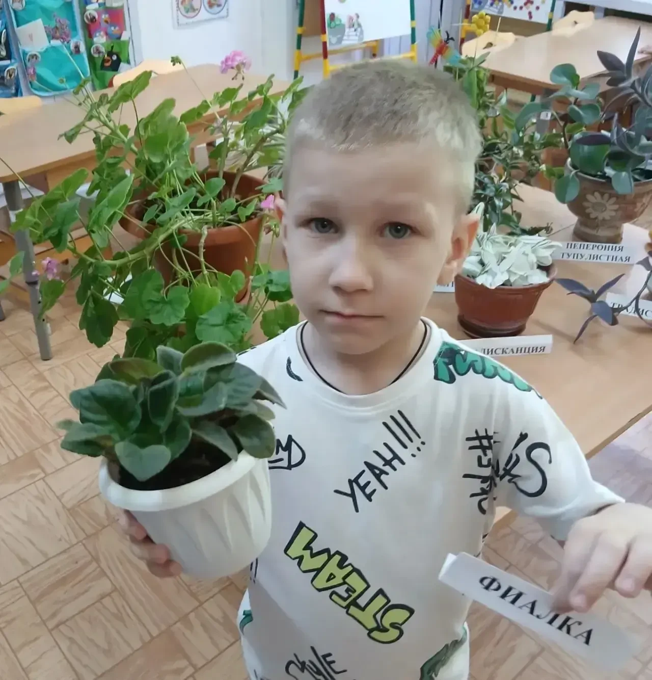 🌳В рамках реализации регионального проекта «Предшкола - стандарт детского сада» на тематической неде